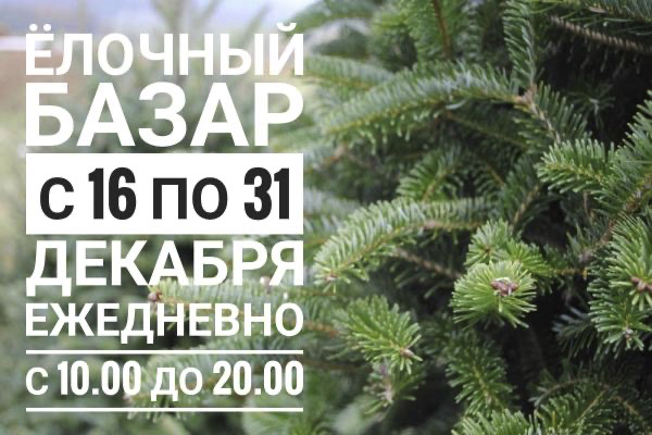 Минский лесхоз открывает ёлочный базар с 16 декабря Минский лесхоз открывает ёлочный базар с 16 декабря